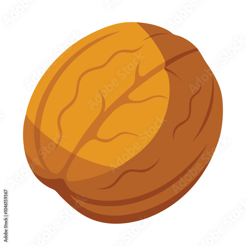 Walnut vector illustration isolated on a white background