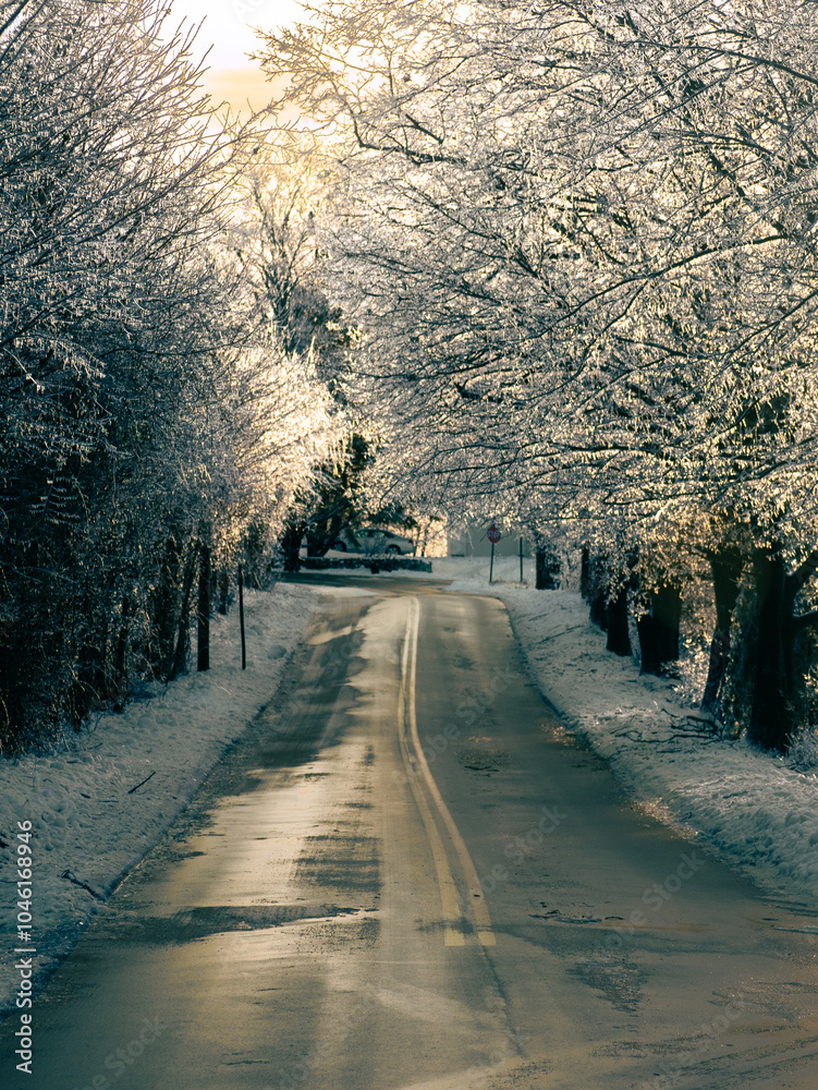 road in winter road in winter