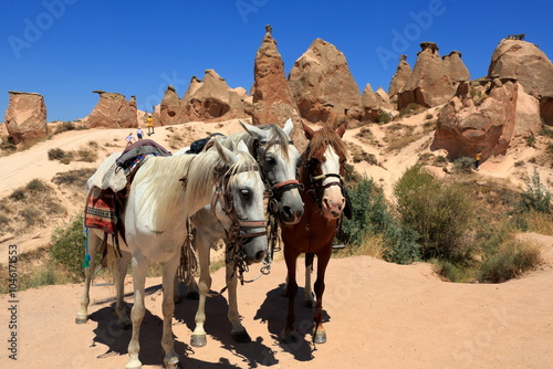 Fotomural Cappadocia, formed by volcanic tuff formations, is a popular holiday region