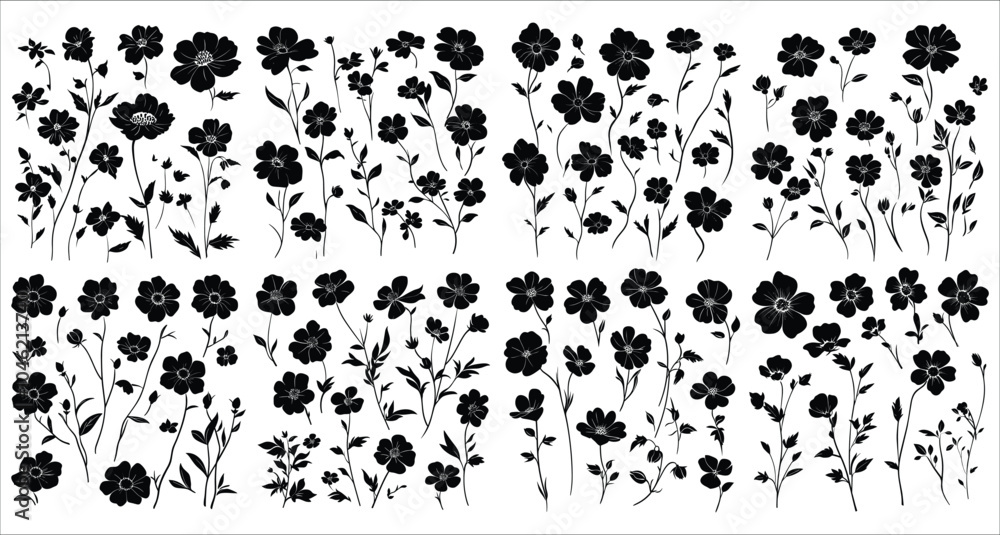 Set of black cosmos flowers, Set of cosmos flower silhouettes collection, Beautiful cosmos flower silhouettes, Decorative floral design elements, Black cosmos flowers silhouettes on white background Set of black cosmos flowers, Set of cosmos flower silhouettes collection, Beautiful cosmos flower silhouettes, Decorative floral design elements, Black cosmos flowers silhouettes on white background