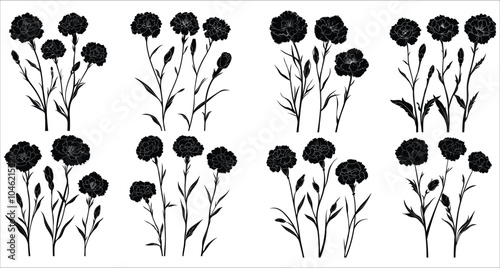 Set of decorative carnation flower silhouettes. Elegant carnation flower silhouettes. Artistic carnation flower silhouette vector collection. Black silhouettes of carnation flower vector art