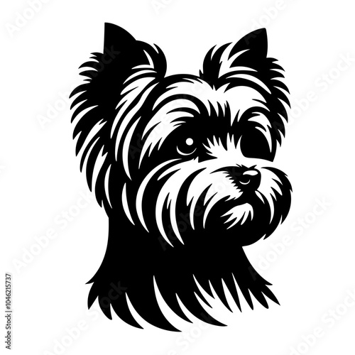 Yorkshire Terrier Portrait