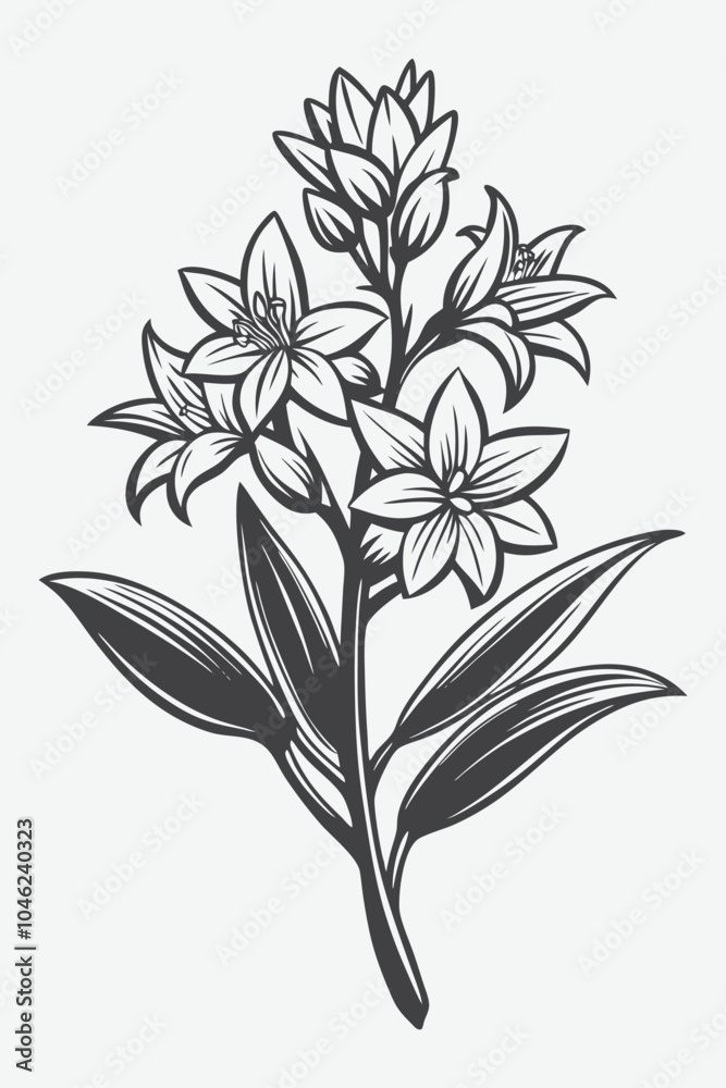 Tuberose Branch with Flowers Silhouette Vector Illustration of Elegant Botanical Artwork in Minimalist Style Tuberose Branch with Flowers Silhouette Vector Illustration of Elegant Botanical Artwork in Minimalist Style