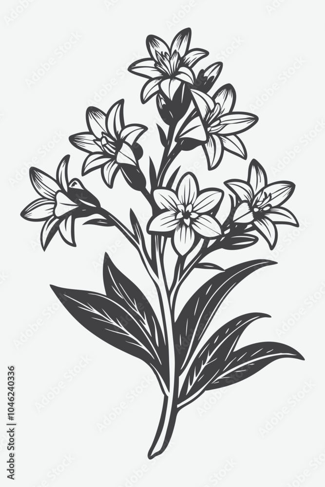 Tuberose Branch with Flowers Silhouette Vector Illustration of Elegant Botanical Artwork in Minimalist Style Tuberose Branch with Flowers Silhouette Vector Illustration of Elegant Botanical Artwork in Minimalist Style