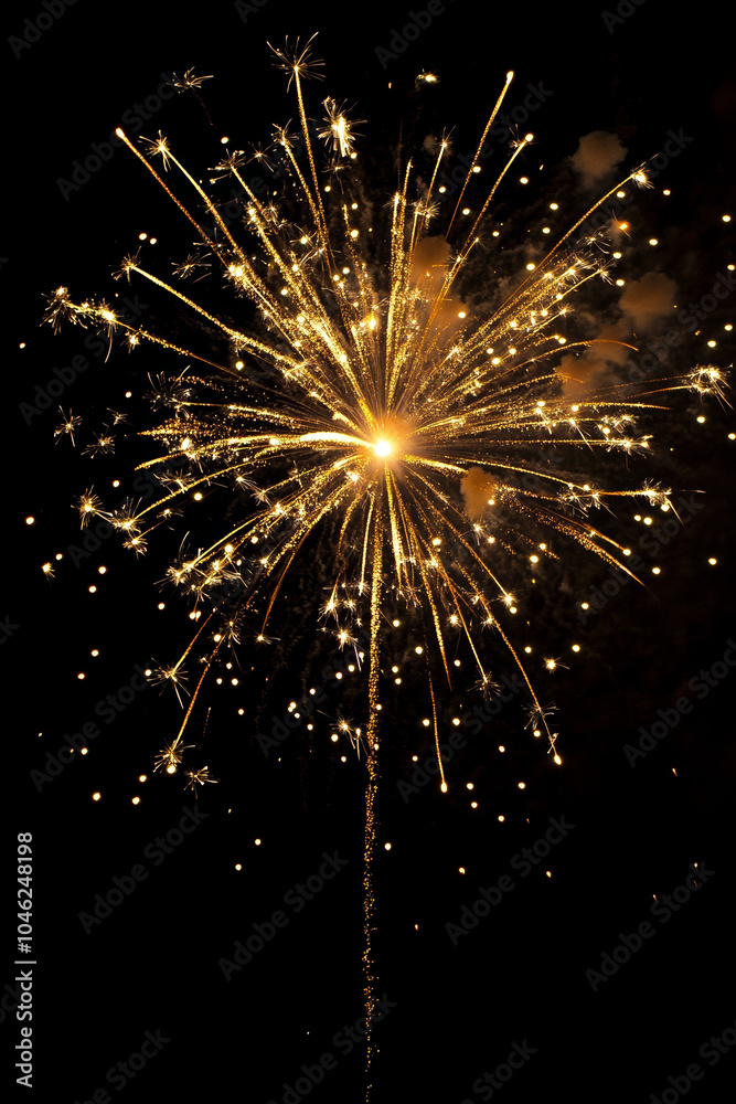 Obraz premium fireworks on black background