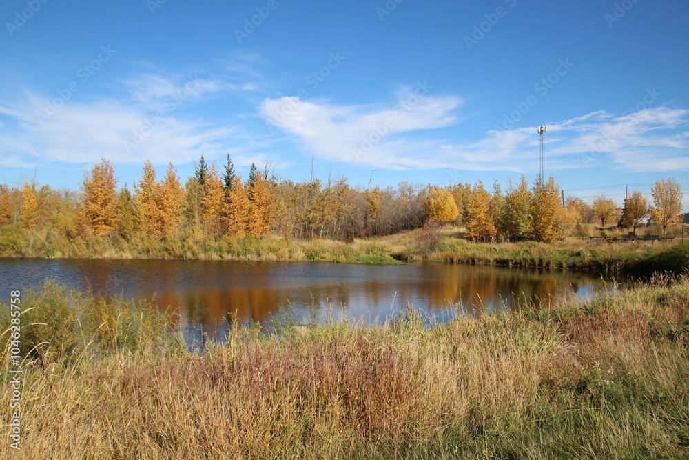 Fototapeta premium Autumn In The Wetlands, Gold Bar Park, Edmonton, Alberta