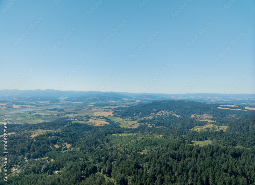 Obraz premium A beautiful view of a forest with a clear blue sky