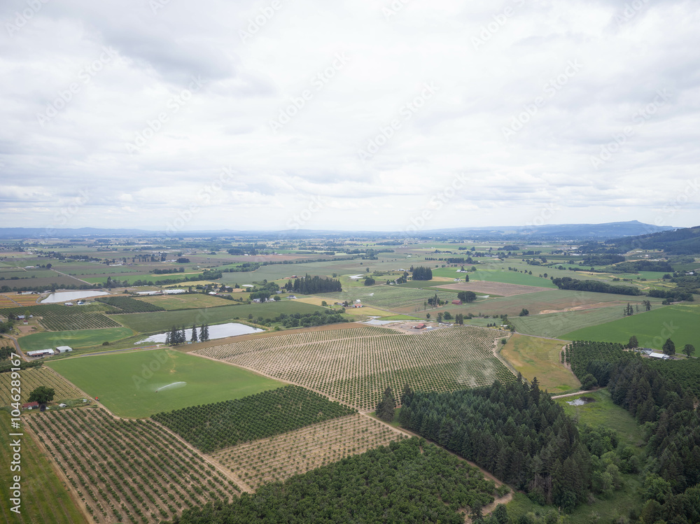 A large field with a few trees and a few houses in the background A large field with a few trees and a few houses in the background