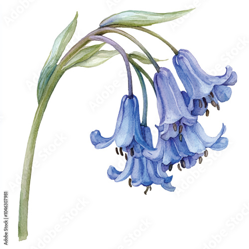 Bluebell watercolor clipart illustration