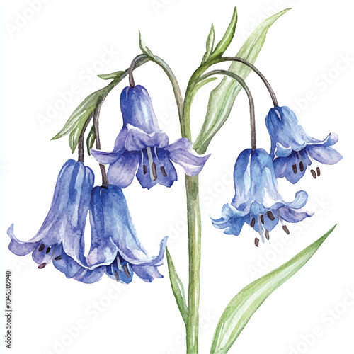 Bluebell watercolor clipart illustration