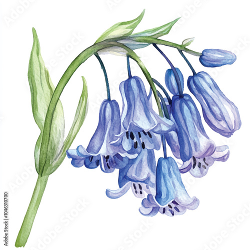 Bluebell watercolor clipart illustration