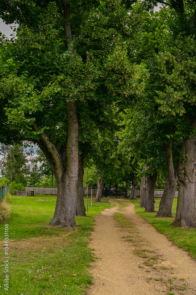 Feldweg als Schotterweg mit grünen Bäumen als Allee in Ketzür, Beetzseeheide in Brandenburg, Deutschland Feldweg als Schotterweg mit grünen Bäumen als Allee in Ketzür, Beetzseeheide in Brandenburg, Deutschland