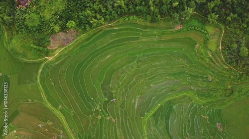 Drone Vietnam - Pu Luong - Rice fields_4 photo