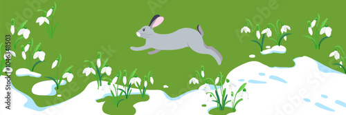 The concept of the arrival of spring and the awakening of nature after winter. Melting snow, snowdrops and a hare running on the green grass. Vector illustration. Flowers sprout through the snow.