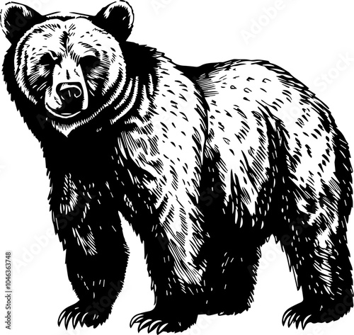 Black and white illustration of a bear. (3)