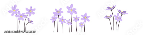 Set of Graphic Flower Vector. Arrangement Flower Garden. Suitable for Wal Art, Card, Decoration Card 