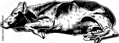 Black and white illustration of a cow lying down.