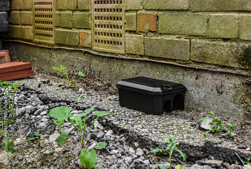 Rodent Bait station being used to control rats and mice, pest control photo