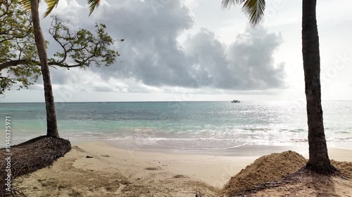 Waves On Beach In Ocho Rios Jamaica With Coconut Tress photo