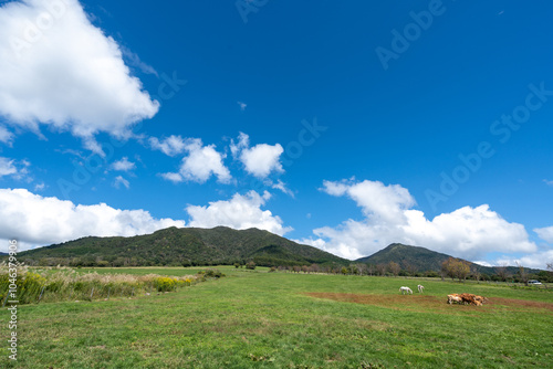 岡山蒜山高原
