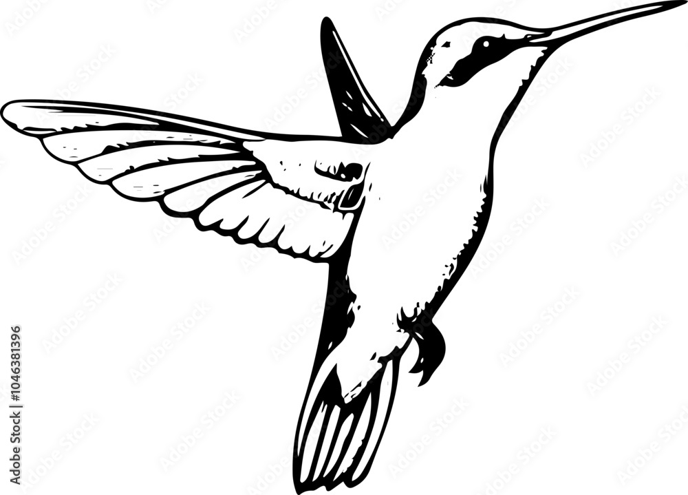Fototapeta premium A black and white illustration of a hummingbird in flight with its wings spread.