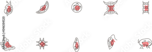 微生物アイコンセットアウトライン