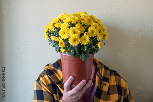 Obraz na płótnie unrecognisable woman with pot in front of her face with yellow chrysanthemums, wearing a yellow and black checkered shirt, plain background w salonie