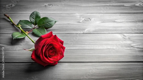 Fototapeta Naklejka Na Ścianę i Meble -  Red rose on black and white wooden background low angle