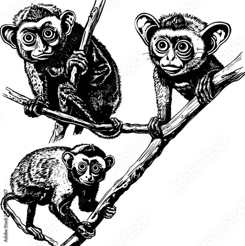 Black and white illustration of three monkeys sitting on tree branches.