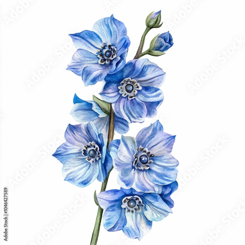 Fototapeta Naklejka Na Ścianę i Meble -  delphinium flower watercolor clipart illustration