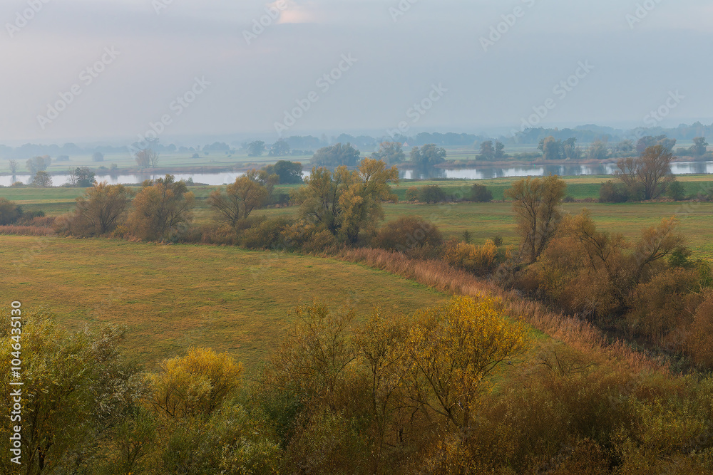 Obraz premium Biosphärenreservat Flusslandschaft Elbe Mecklenburg-Vorpommern