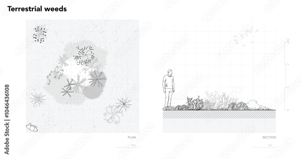 Architectural Drawings, Minimal style cad tree line drawing, Side view, plan and section forest outline symbol for landscape design drawing. Vector illustration in stroke fill in white.