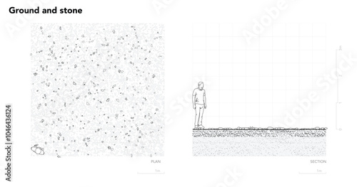 Architectural Drawings, Minimal style cad tree line drawing, Side view, plan and section forest outline symbol for landscape design drawing. Vector illustration in stroke fill in white.