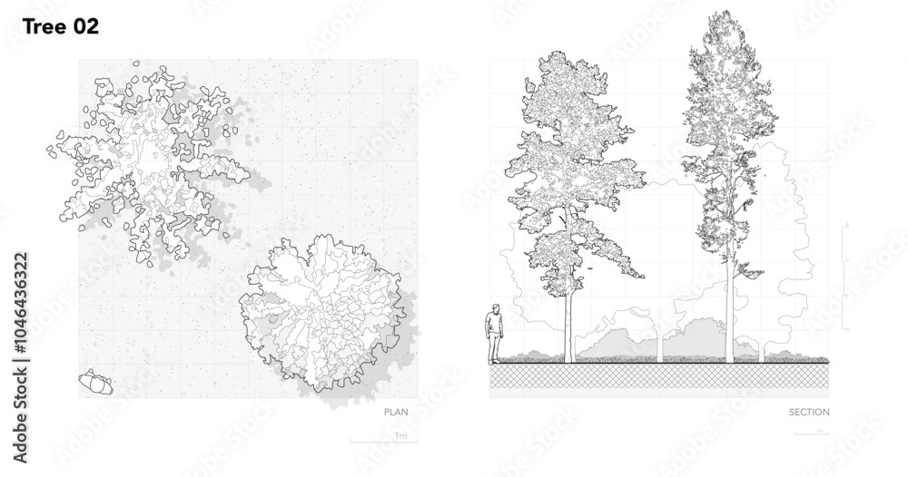 Architectural Drawings, Minimal style cad tree line drawing, Side view, plan and section forest outline symbol for landscape design drawing. Vector illustration in stroke fill in white.