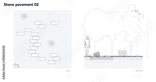 Architectural Drawings, Minimal style cad tree line drawing, Side view, plan and section forest outline symbol for landscape design drawing. Vector illustration in stroke fill in white.