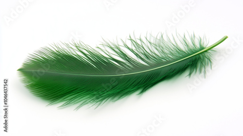 A green feather lies on a white background. It has thin, detailed fibers and looks very light and airy