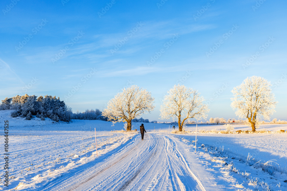 Obraz premium Woman walking on a snowy country road