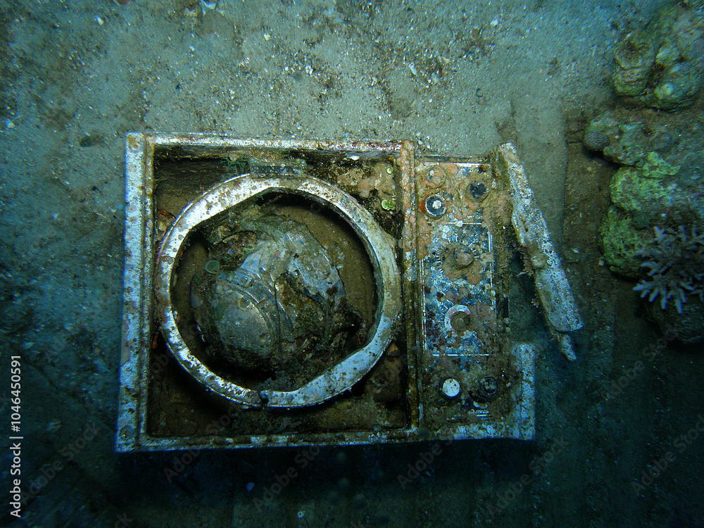 custom made wallpaper toronto digitalОдні з найкращих морських парків Червоного моря. Дайвінг на островах Бразерс, Дедалусі та Ельфінстоуні не залишає байдужими жодного дайвера. Такої кількості фарб як тут, на суші не зустріти