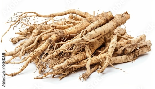 Siberian ginseng known as Eleutherococcus senticosus is a medicinal herb often used in Chinese medicine with a history of folklore use photo