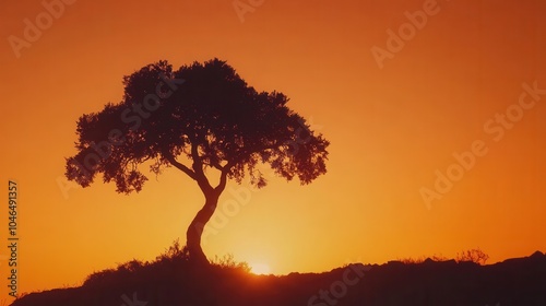 Silhouette of a tree against a clear orange sky during sunset, dramatic and bold, nature-focused, ideal for stock imagery,