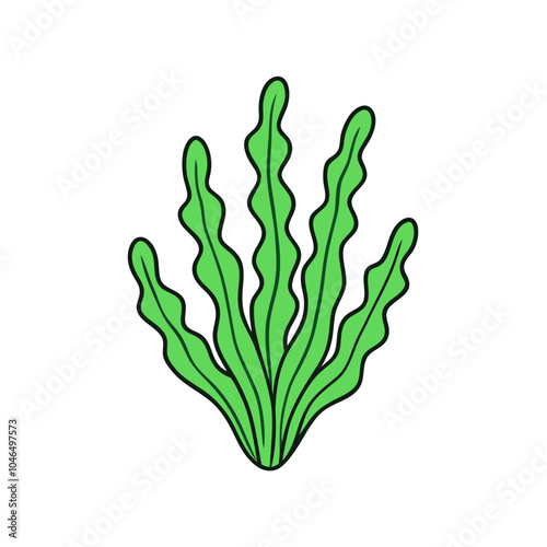 Seaweed or macroalgae | isolated vector silhouette illustration on white background