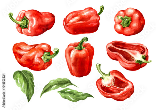 Sweet bell pepper, Paprika set. Watercolor hand painted illustration, isolated on white background