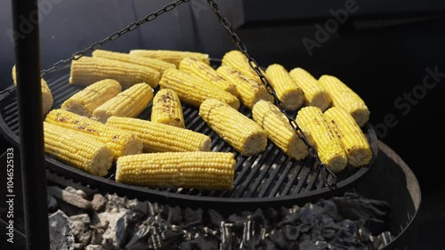 Grilled corn on cob for barbecue. Barbecue concept. photo