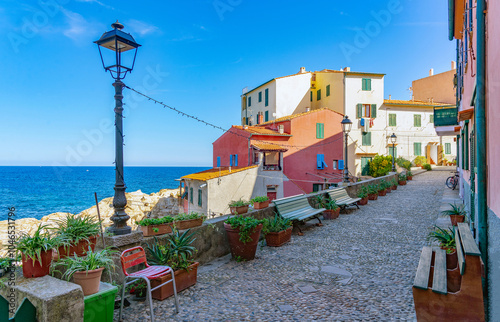 Marciana marina