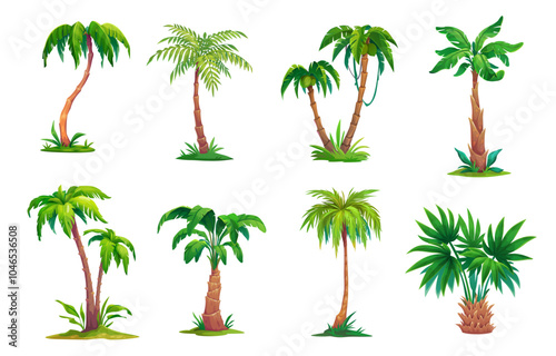 Cartoon jungle palm trees from tropical forest of exotic plants, vector icons. Coconut or banana palm trees with green leaves for Hawaii vacation or Caribbean island and cartoon paradise game