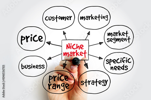 Niche market mind map, business concept for presentations and reports photo