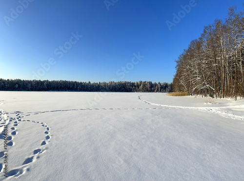 Lake covered with ice and snow in the forest