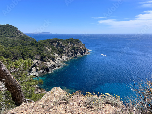 Porquerolles island, la Courtade, mediterranean sea, France. High quality photo photo