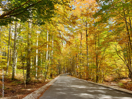 Obraz na płótnie yellow trees and road at Logar Valley - Slovenia w salonie