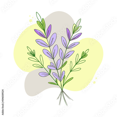 colorful blob-style illustration of savory herb, transparent background, for culinary use